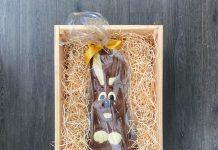 Noosa AFL grounds transforms into open-air cinema this Easter