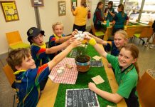 ‘Hear its whispers’: time to listen to the land