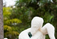 All aboard for holiday fun at Noosa Civic