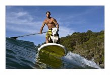 Learning how to speak dog