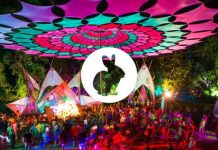 Rabbit Eats Lettuce festival secures pill testing service