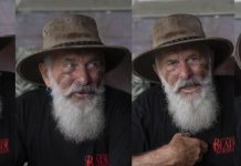 Noosa artist shuts sanctuary