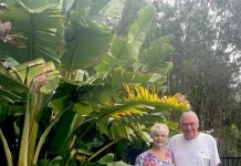 Love and budgie smugglers