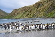 Galapagos of the South? you decide