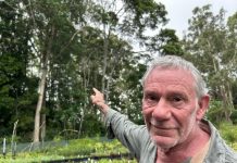 Pomona Chamber welcomes new Noosa Council