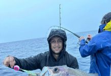 Reef fish are chewing