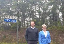 Noosa road with ‘a significant crash history’ set for upgrade