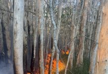 Planned burn season starts