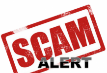 Sunshine Coast becomes one of the worst affected areas for scams