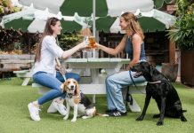 Paws, pints and playtime ahead at Parklands Tavern