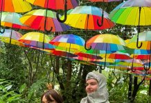 Ginger Factory brings to life the world of Zog