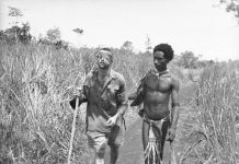 Our Fuzzy Wuzzy Angels