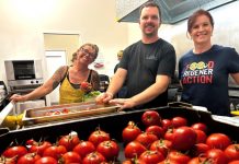 Snails on the move to Italy