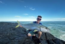 Sharks menace anglers