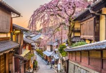 Tranquil harmony and urban excitement of Japan