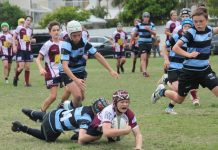 Noosa Dolphins Juniors rock round 3