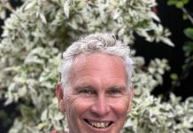 ’No harm intended’ says Noosa mayor