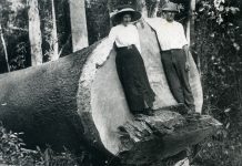 New book of Eumundi history