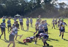 Noosa Dolphins Juniors tackle the fifth round
