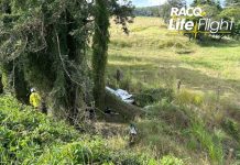 Motorist airlifted after crashing down embankment