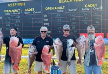 Evolution of Fish Classic