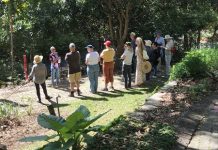 Cooler season gardens perfection