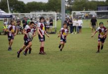 Valiant effort by Dolphins