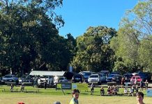 Dolphins ups and downs of the game