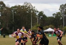 Dolphins edging up the ladder