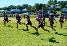 Dolphins magic moments