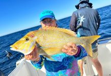 Weather holds strong