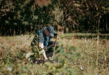 Digging in: Planting trees for a greener future