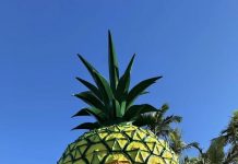 The Big Pineapple re-opens on the Sunshine Coast