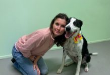 Call Vet Nurse Dora for top-notch care