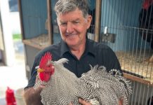 Garden Expo’s 40th celebrations set to be a crowing success