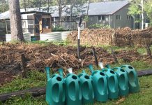 Local school on target to become 100 per cent carbon neutral