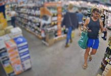 Cops search for alleged Bottle-o thief