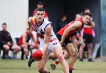 Tigers fall back down to earth