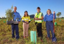 10,000 reasons to celebrate this World Environment Day