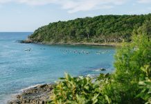 A perfect adios for Aido