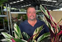 Queensland Garden Show set for a blooming success
