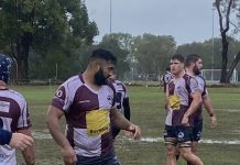 Dolphins celebrate past and present