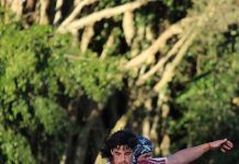 Dolphins move to secure top four spot