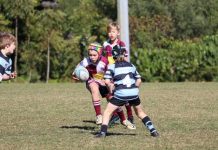 Solid games from Dolphins