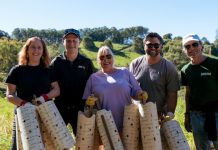 Trees for Tourism sees significant impact