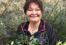 Indigenous heritage celebrated with bush tucker experiences