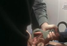 Armed man arrested at Sunshine Coast bank