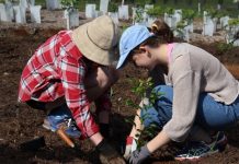 Rewild your backyard with this workshop series