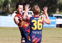 Tigers have a crack against ladder leaders