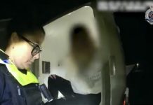 Woman attempts to flee police by driving up to 180km/hour